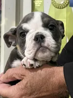 processed/bd1d6516-7e9d-4855-b17d-85bac3248ee2/listing/e158108c-2f67-4185-ae79-77edc8f39da2/b9034cef-79ae-4677-8e1b-47e3701f0e61