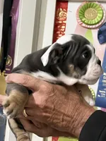 processed/bd1d6516-7e9d-4855-b17d-85bac3248ee2/listing/e158108c-2f67-4185-ae79-77edc8f39da2/e37283ff-59e7-4f03-ae65-ef44ee7efa41