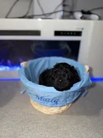 Dark Blue Collar Boy, a male English Goldendoodle for sale in Newburgh, NY – Photo 6 of 6