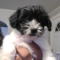 processed/bd231078-ff30-438e-af3c-e29d4930dc93/listing/0d97ce61-c181-43b9-822d-e11ebbd47d77/3ee1c05d-976e-4457-b8fb-920ef40016da