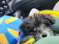 processed/bd231078-ff30-438e-af3c-e29d4930dc93/listing/0d97ce61-c181-43b9-822d-e11ebbd47d77/76bb9efa-3509-40fb-9a38-e05778ad7215