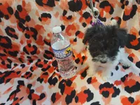 processed/bd231078-ff30-438e-af3c-e29d4930dc93/listing/0d97ce61-c181-43b9-822d-e11ebbd47d77/90ac7ba3-a4c7-4c29-a89c-33f307190b63