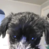 processed/bd231078-ff30-438e-af3c-e29d4930dc93/listing/0d97ce61-c181-43b9-822d-e11ebbd47d77/bd0e1f58-82d5-473f-a801-ef6bc35a64bf