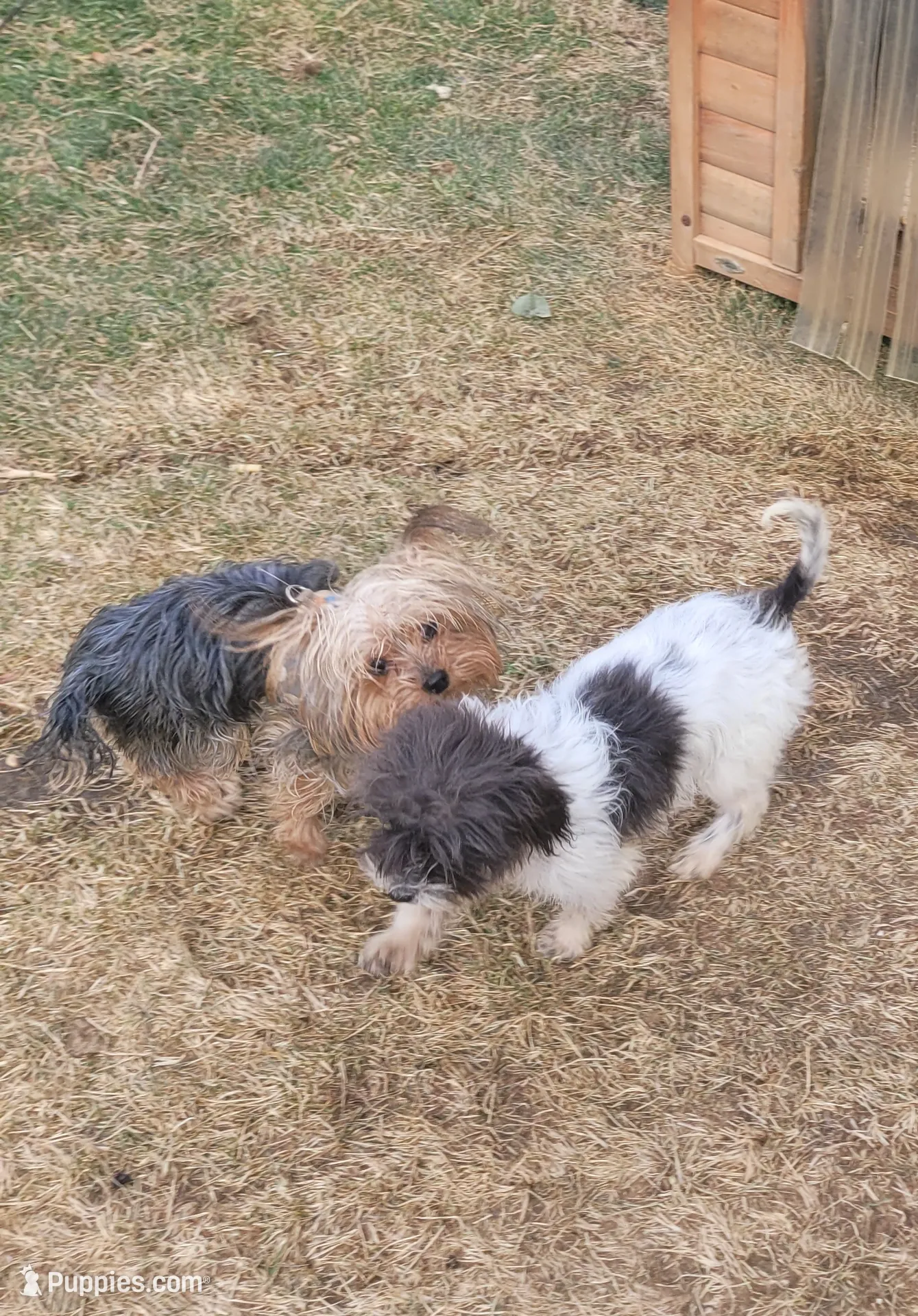 processed/bd231078-ff30-438e-af3c-e29d4930dc93/listing/0d97ce61-c181-43b9-822d-e11ebbd47d77/d071489d-45f9-4717-9992-6fae5e93d967