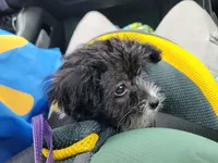 processed/bd231078-ff30-438e-af3c-e29d4930dc93/listing/0d97ce61-c181-43b9-822d-e11ebbd47d77/ddb184cb-02a1-466a-92e1-13edddcc683f