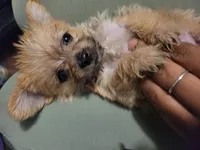 processed/bd231078-ff30-438e-af3c-e29d4930dc93/listing/aded3ad4-325c-4ebb-967e-9a970d917f37/068a1fa0-e51c-4caf-8b60-2dbc3fa34c7d