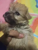 processed/bd231078-ff30-438e-af3c-e29d4930dc93/listing/aded3ad4-325c-4ebb-967e-9a970d917f37/4aef13dc-d575-40b0-b453-eee3ea37d8c4