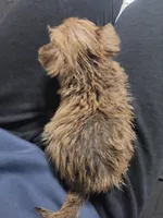 processed/bd231078-ff30-438e-af3c-e29d4930dc93/listing/aded3ad4-325c-4ebb-967e-9a970d917f37/9e0c6764-e8f1-4fac-ba1e-939d9a0cabe7