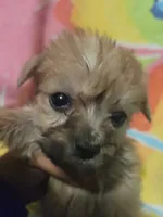 processed/bd231078-ff30-438e-af3c-e29d4930dc93/listing/aded3ad4-325c-4ebb-967e-9a970d917f37/b49c4f67-9a76-496b-abf7-dff2c5b31fc1