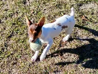 processed/bd2a7e8f-cd1b-49ad-81cc-cfa665750c62/listing/061cb322-9080-4485-9f01-cecbdaca1dcd/101ba151-3e4e-4b3f-a36e-a07ed510b7a4