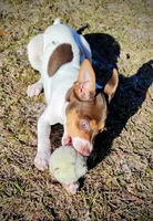 processed/bd2a7e8f-cd1b-49ad-81cc-cfa665750c62/listing/061cb322-9080-4485-9f01-cecbdaca1dcd/2ef5ce3d-7126-459f-b94e-19115b086878