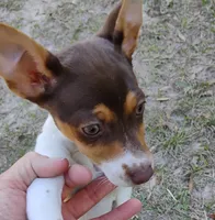 processed/bd2a7e8f-cd1b-49ad-81cc-cfa665750c62/listing/061cb322-9080-4485-9f01-cecbdaca1dcd/83585be2-c87e-461f-9879-990330badac3