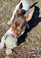 processed/bd2a7e8f-cd1b-49ad-81cc-cfa665750c62/listing/061cb322-9080-4485-9f01-cecbdaca1dcd/a7b2c9b1-47e4-4256-bd11-dddec5aaf009