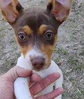 processed/bd2a7e8f-cd1b-49ad-81cc-cfa665750c62/listing/061cb322-9080-4485-9f01-cecbdaca1dcd/fdec02b0-0a5c-4fb3-b6c8-ebe036423f53