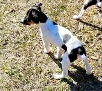 processed/bd2a7e8f-cd1b-49ad-81cc-cfa665750c62/listing/49f0c031-16c3-47d0-a183-035dbcf22dd2/1fd663ed-eb53-4732-b20e-147eb09a118d