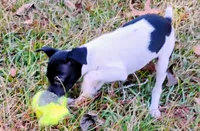 processed/bd2a7e8f-cd1b-49ad-81cc-cfa665750c62/listing/49f0c031-16c3-47d0-a183-035dbcf22dd2/438d655a-b298-4fb1-8f1c-6eb34dcce7fb