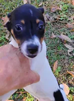 processed/bd2a7e8f-cd1b-49ad-81cc-cfa665750c62/listing/49f0c031-16c3-47d0-a183-035dbcf22dd2/952fcb7f-46eb-4b2a-bb18-ff1e474e4bc4