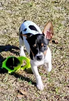 processed/bd2a7e8f-cd1b-49ad-81cc-cfa665750c62/listing/49f0c031-16c3-47d0-a183-035dbcf22dd2/c637466f-4306-4f72-8db8-7ede9fde4dcc