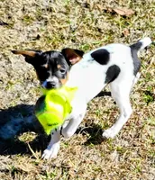 processed/bd2a7e8f-cd1b-49ad-81cc-cfa665750c62/listing/49f0c031-16c3-47d0-a183-035dbcf22dd2/c7abd82e-f2e1-48c1-af11-f58928cc1405