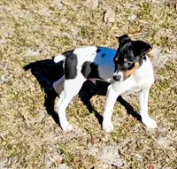 processed/bd2a7e8f-cd1b-49ad-81cc-cfa665750c62/listing/49f0c031-16c3-47d0-a183-035dbcf22dd2/f9c2a127-5c9d-4015-982e-041aa73344c6