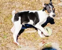 processed/bd2a7e8f-cd1b-49ad-81cc-cfa665750c62/listing/5ef5af08-1760-484a-8614-e334594aef04/1a363503-eab3-4809-8603-f3ef5a4cf320