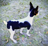 processed/bd2a7e8f-cd1b-49ad-81cc-cfa665750c62/listing/5ef5af08-1760-484a-8614-e334594aef04/1ab642d8-53af-4053-8e79-605ff7f8cb86