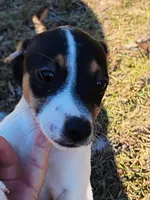 processed/bd2a7e8f-cd1b-49ad-81cc-cfa665750c62/listing/5ef5af08-1760-484a-8614-e334594aef04/28347801-8081-44c3-a4c5-182ac90dc97b