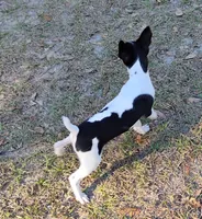 processed/bd2a7e8f-cd1b-49ad-81cc-cfa665750c62/listing/5ef5af08-1760-484a-8614-e334594aef04/b55aaad6-ab27-41b7-8592-a2be1fe9d8fb