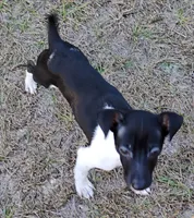 processed/bd2a7e8f-cd1b-49ad-81cc-cfa665750c62/listing/a242ce1c-38e8-4702-9395-1a8ad7936363/712d43ba-5c13-492f-bc59-6d3582b7c1f9