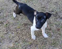 processed/bd2a7e8f-cd1b-49ad-81cc-cfa665750c62/listing/a242ce1c-38e8-4702-9395-1a8ad7936363/b02980ae-8c42-4973-8a23-b320c5b13344