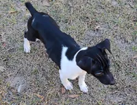 processed/bd2a7e8f-cd1b-49ad-81cc-cfa665750c62/listing/a242ce1c-38e8-4702-9395-1a8ad7936363/c2913989-94c8-43be-84e8-ba2e4ce62206