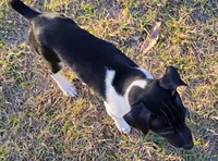 processed/bd2a7e8f-cd1b-49ad-81cc-cfa665750c62/listing/a242ce1c-38e8-4702-9395-1a8ad7936363/f8876cae-af8c-4241-88be-1f479473f0dd