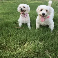 processed/bd2f0b8d-5048-4fab-ad20-66fd8883adc9/facility/26c06243-a406-410e-ad20-b2d376fee753