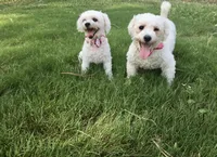 processed/bd2f0b8d-5048-4fab-ad20-66fd8883adc9/facility/26c06243-a406-410e-ad20-b2d376fee753