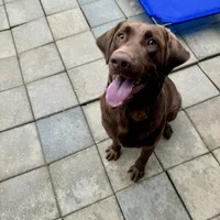 processed/bd2f0b8d-5048-4fab-ad20-66fd8883adc9/facility/313f4e31-7b7d-4c4b-9da4-7a83d3a7e80a