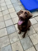 processed/bd2f0b8d-5048-4fab-ad20-66fd8883adc9/facility/313f4e31-7b7d-4c4b-9da4-7a83d3a7e80a