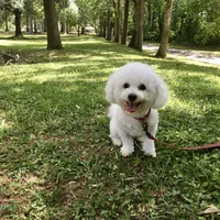 processed/bd2f0b8d-5048-4fab-ad20-66fd8883adc9/facility/593b6271-6068-499c-a9be-e1895dc7a7fc