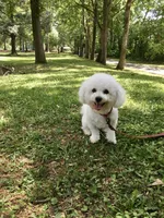 processed/bd2f0b8d-5048-4fab-ad20-66fd8883adc9/facility/593b6271-6068-499c-a9be-e1895dc7a7fc