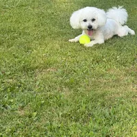 processed/bd2f0b8d-5048-4fab-ad20-66fd8883adc9/facility/9faddef6-0ba3-433f-ac90-b3359a467689