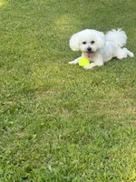 processed/bd2f0b8d-5048-4fab-ad20-66fd8883adc9/facility/9faddef6-0ba3-433f-ac90-b3359a467689