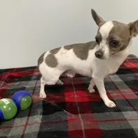 processed/bd2f0b8d-5048-4fab-ad20-66fd8883adc9/facility/e3ee6a55-3d50-4328-a424-ab7f6e1efbbd