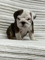 processed/bd3a2dc3-524d-435d-8e65-15fdb60f36f7/listing/d89203ac-a5fc-4f02-9fc6-d4c31a2a9ab0/18d04af1-1595-4359-8fd1-185e206e4deb