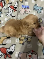 processed/bd3fb7d2-b789-403f-915a-bac4fe829521/listing/e098ab88-57f3-4df9-ad19-227e59f4236c/e32e9f65-8e52-4910-b11a-284e270dd75d