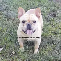 processed/bd4691bc-5f8d-46a7-8260-7a95cec7c7f4/facility/9a09beb3-8e81-40ec-a6ff-fde84373f8d5