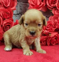 processed/bd4691bc-5f8d-46a7-8260-7a95cec7c7f4/listing/8ecc811a-ab2c-44d2-a749-01b69837a0db/53d548e3-7a6a-4a87-8895-ed996e8acded