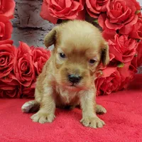 processed/bd4691bc-5f8d-46a7-8260-7a95cec7c7f4/listing/8ecc811a-ab2c-44d2-a749-01b69837a0db/91252471-b859-4705-87a1-0d49f8000cdf