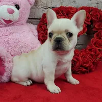 processed/bd4691bc-5f8d-46a7-8260-7a95cec7c7f4/listing/b29f355d-4320-47ae-a694-95ef6010c84e/0b0fb2f6-e26b-457f-bd55-dd7d760748de