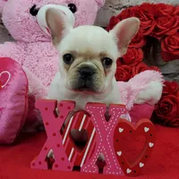 processed/bd4691bc-5f8d-46a7-8260-7a95cec7c7f4/listing/b29f355d-4320-47ae-a694-95ef6010c84e/30681118-8ee6-40e9-9ca1-8e46619d4788