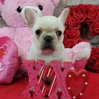 processed/bd4691bc-5f8d-46a7-8260-7a95cec7c7f4/listing/b29f355d-4320-47ae-a694-95ef6010c84e/5c056611-b5d0-4a5a-a5e6-ded4de206565