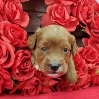 processed/bd4691bc-5f8d-46a7-8260-7a95cec7c7f4/listing/c4a12092-2666-46a8-8666-84b5e8c8ef33/7591e0fc-aa29-4ac5-af88-2c5ad1d50927